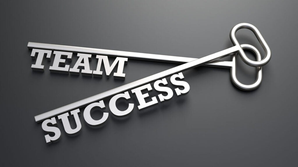 Project team success